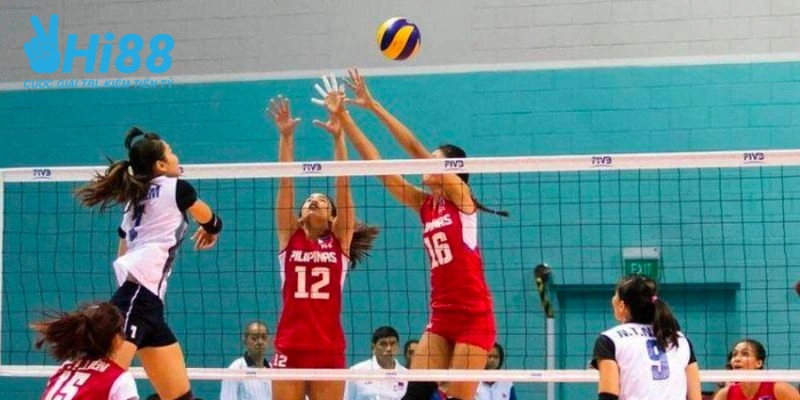 kinh nghiem ca cuoc bong chuyen