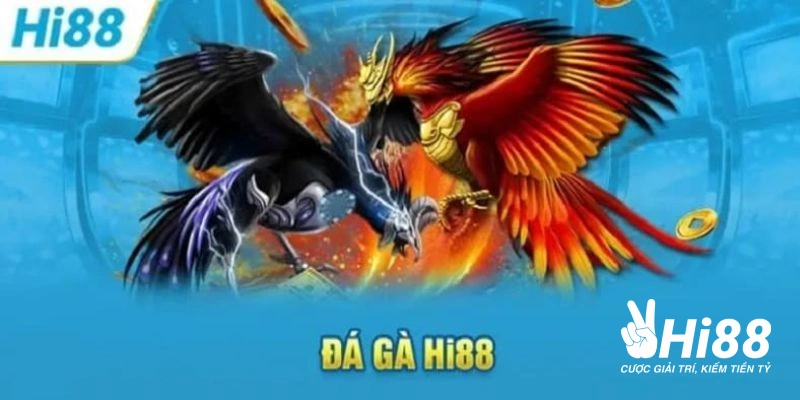 tong hop cac loai hinh ca cuoc tai da ga hi88